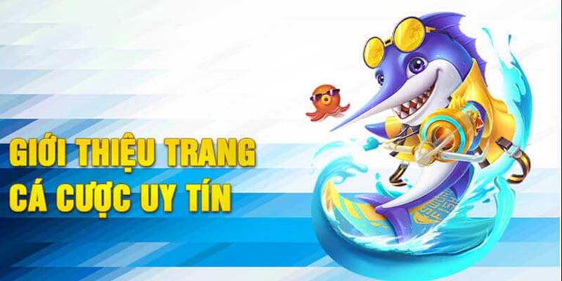 Hệ thống nạp rút tiền hiện đại, xử lý cực nhanh